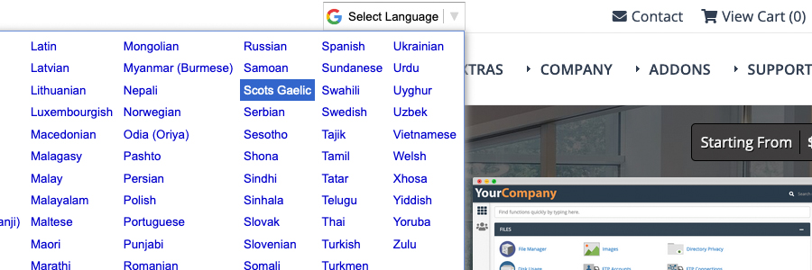 WHMCS template Google Translate